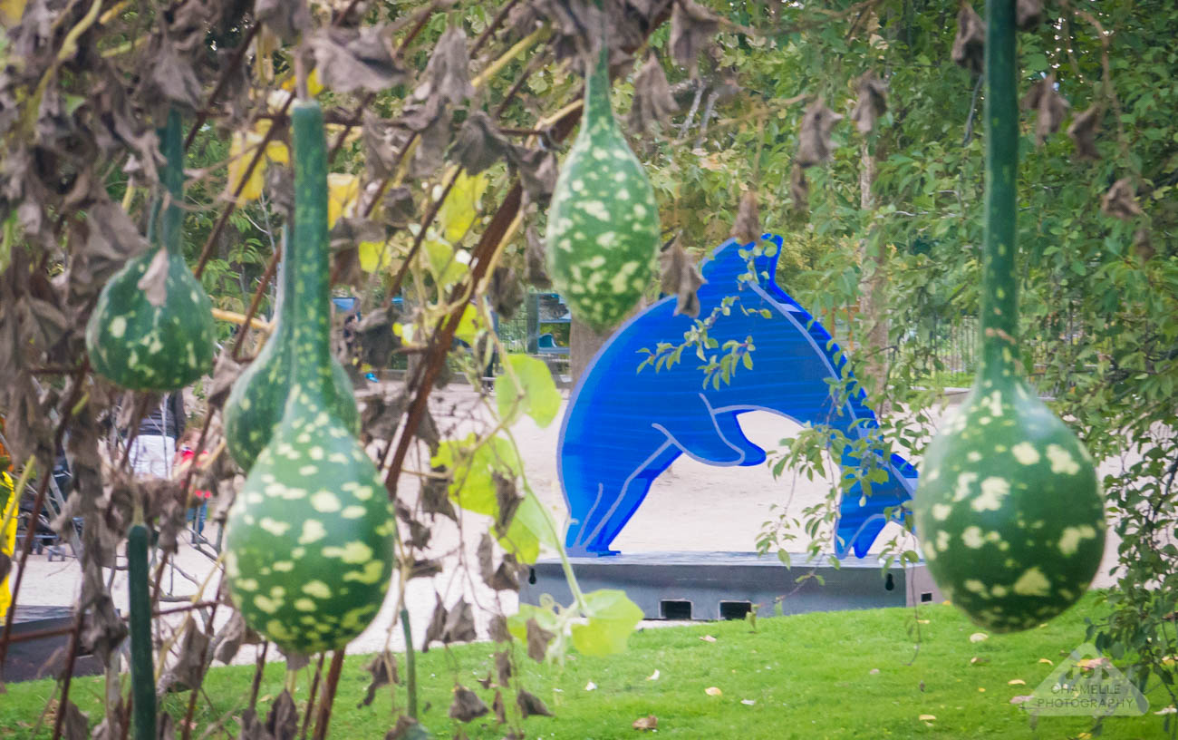 Chamelle Designs Blog - Jardin des Plantes, Paris -Arche de Noé - Noah's ark - climate change #ADNClimat