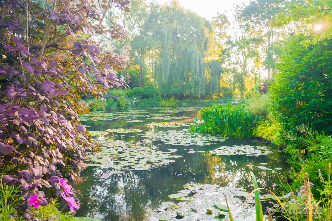 Fondation Claude Monet Jardin Garden Giverny Chamelle Photography