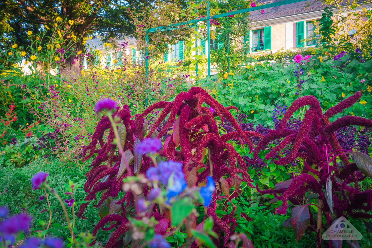 Fondation Claude Monet Jardin Garden Giverny Chamelle Photography