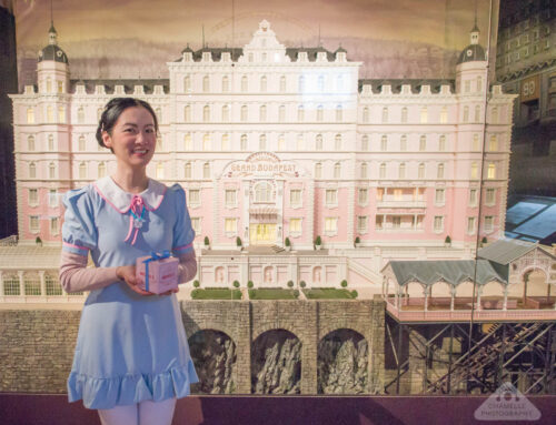 The Grand Budapest Hotel and Fantastic Mr Fox movie sets exhibition, Lyon