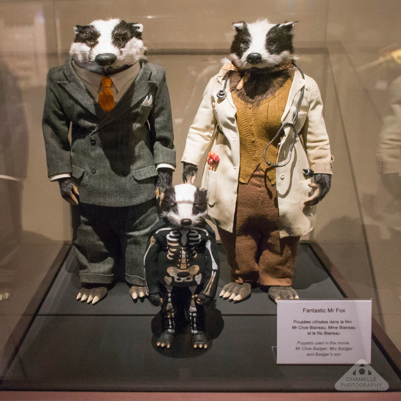 Fantastic Mr Fox Wes Anderson exhibition Lyon