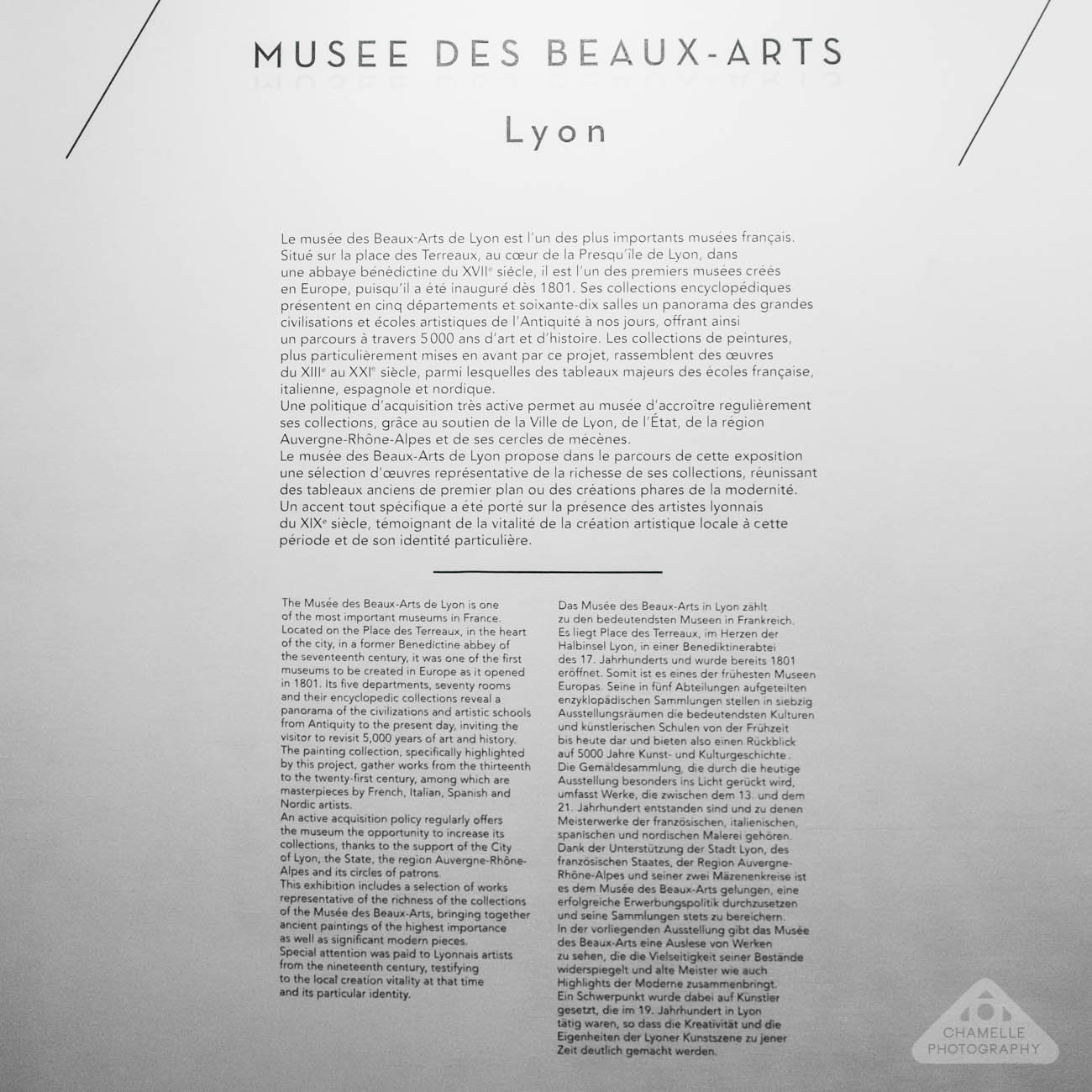 Musee des Beaux-Arts, Lyon Fine arts museum Rembrandt self exhibition exposition