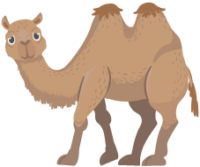 Chamelle Designs camel